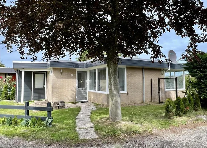 Pet-friendly Near Tatil Evi